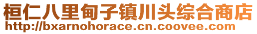 桓仁八里甸子鎮(zhèn)川頭綜合商店