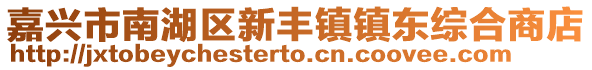 嘉興市南湖區(qū)新豐鎮(zhèn)鎮(zhèn)東綜合商店