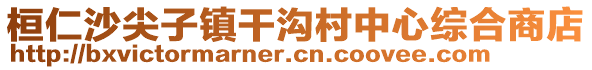 桓仁沙尖子鎮(zhèn)干溝村中心綜合商店