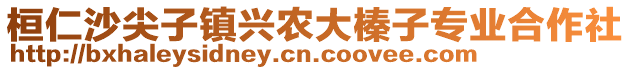 桓仁沙尖子镇兴农大榛子专业合作社