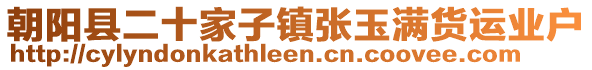 朝阳县二十家子镇张玉满货运业户