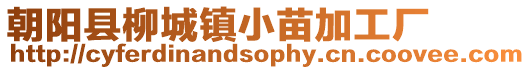 朝陽縣柳城鎮(zhèn)小苗加工廠