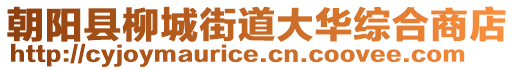 朝阳县柳城街道大华综合商店