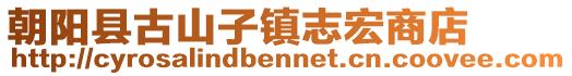 朝陽縣古山子鎮(zhèn)志宏商店