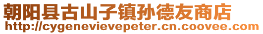 朝陽縣古山子鎮孫德友商店
