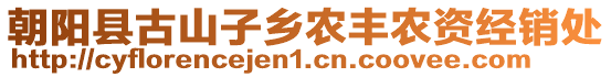 朝陽縣古山子鄉(xiāng)農(nóng)豐農(nóng)資經(jīng)銷處