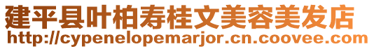 建平縣葉柏壽桂文美容美發店