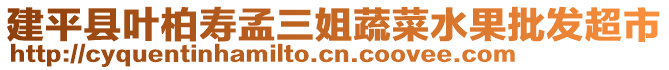 建平縣葉柏壽孟三姐蔬菜水果批發(fā)超市