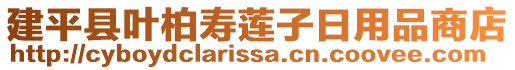 建平縣葉柏壽蓮子日用品商店