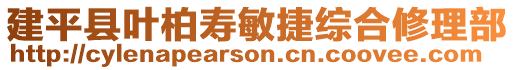 建平縣葉柏壽敏捷綜合修理部