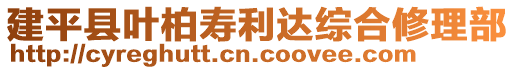 建平縣葉柏壽利達綜合修理部