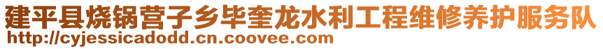 建平縣燒鍋營子鄉(xiāng)畢奎龍水利工程維修養(yǎng)護服務(wù)隊