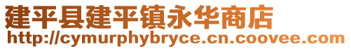 建平县建平镇永华商店