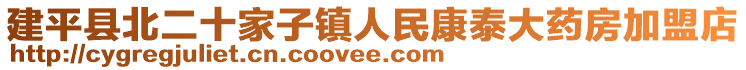 建平縣北二十家子鎮(zhèn)人民康泰大藥房加盟店