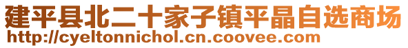 建平縣北二十家子鎮(zhèn)平晶自選商場(chǎng)