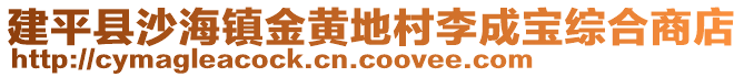 建平縣沙海鎮(zhèn)金黃地村李成寶綜合商店