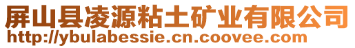 屏山縣凌源粘土礦業(yè)有限公司