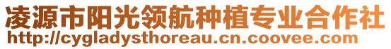 凌源市阳光领航种植专业合作社