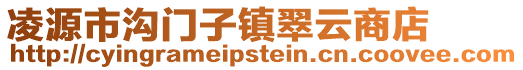 凌源市溝門子鎮(zhèn)翠云商店