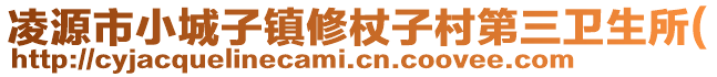 凌源市小城子镇修杖子村第三卫生所(