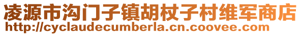 凌源市溝門(mén)子鎮(zhèn)胡杖子村維軍商店