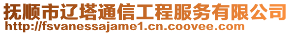 撫順市遼塔通信工程服務(wù)有限公司