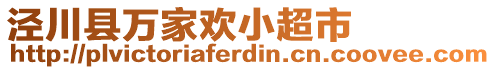 涇川縣萬(wàn)家歡小超市