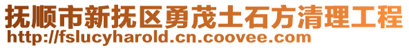 撫順市新?lián)釁^(qū)勇茂土石方清理工程