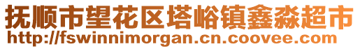 撫順市望花區(qū)塔峪鎮(zhèn)鑫淼超市