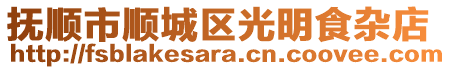 抚顺市顺城区光明食杂店