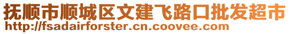 撫順市順城區(qū)文建飛路口批發(fā)超市