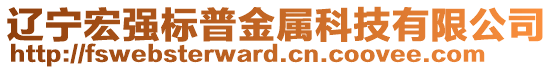 遼寧宏強標普金屬科技有限公司