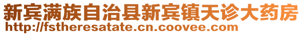 新宾满族自治县新宾镇天诊大药房