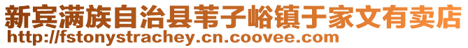 新宾满族自治县苇子峪镇于家文有卖店