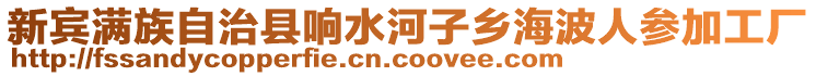 新宾满族自治县响水河子乡海波人参加工厂