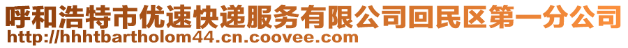 呼和浩特市优速快递服务有限公司回民区第一分公司