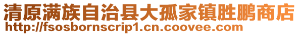 清原满族自治县大孤家镇胜鹏商店