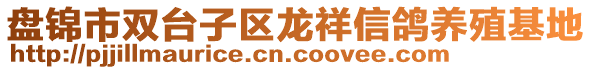 盘锦市双台子区龙祥信鸽养殖基地