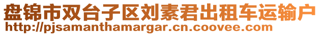 盤錦市雙臺(tái)子區(qū)劉素君出租車運(yùn)輸戶