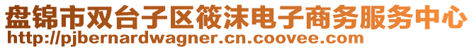 盤(pán)錦市雙臺(tái)子區(qū)筱沫電子商務(wù)服務(wù)中心