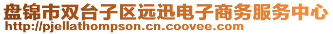 盤錦市雙臺子區(qū)遠(yuǎn)迅電子商務(wù)服務(wù)中心