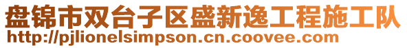 盤錦市雙臺子區(qū)盛新逸工程施工隊