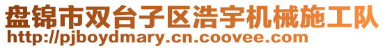 盤錦市雙臺(tái)子區(qū)浩宇機(jī)械施工隊(duì)