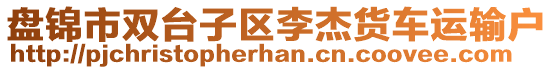 盤(pán)錦市雙臺(tái)子區(qū)李杰貨車(chē)運(yùn)輸戶(hù)