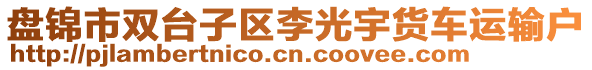 盤錦市雙臺子區(qū)李光宇貨車運輸戶