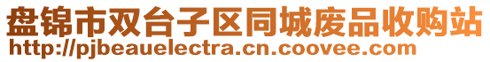 盤錦市雙臺(tái)子區(qū)同城廢品收購站