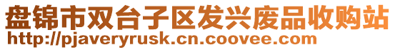 盤錦市雙臺子區(qū)發(fā)興廢品收購站