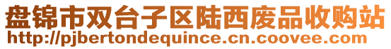 盤錦市雙臺(tái)子區(qū)陸西廢品收購(gòu)站