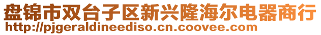 盤錦市雙臺子區(qū)新興隆海爾電器商行