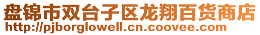 盤錦市雙臺子區龍翔百貨商店